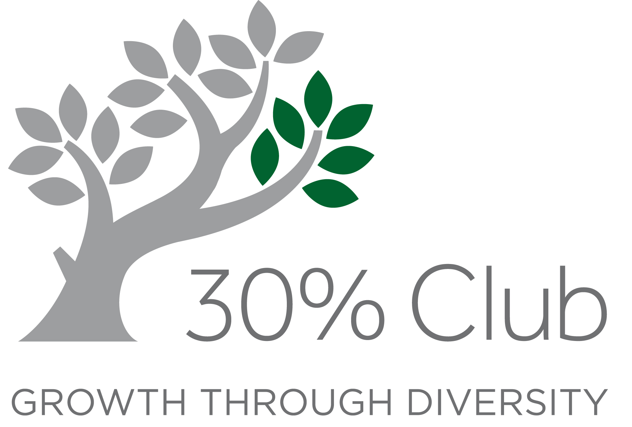 30% Club Mentoring Scheme